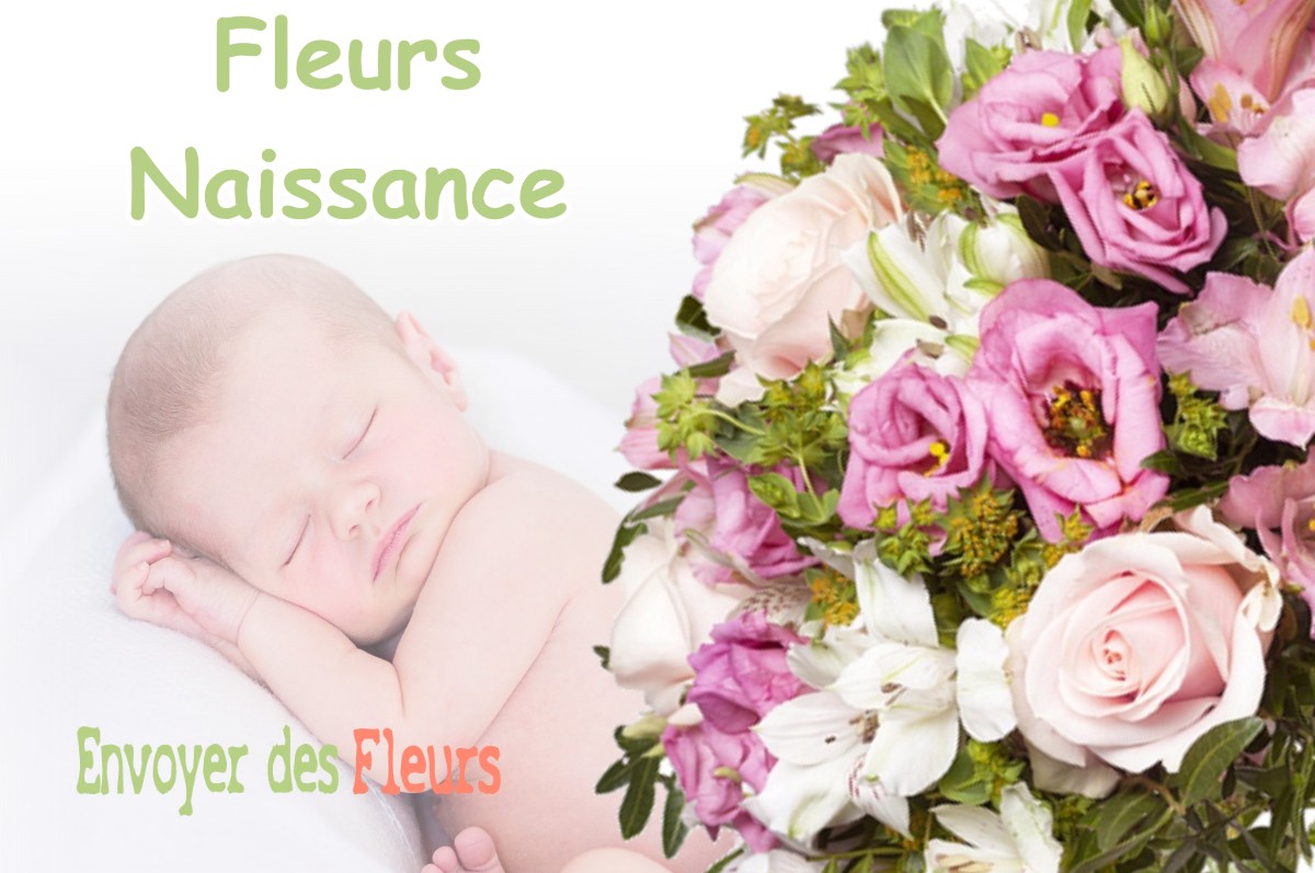 lIVRAISON FLEURS NAISSANCE à REMENNECOURT